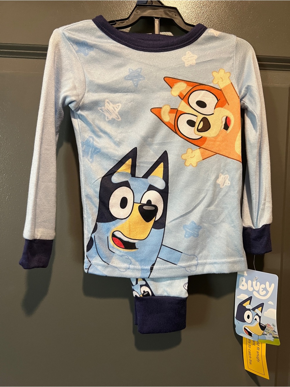 Kids Bluey Long Sleeve Pajama Set Size 4